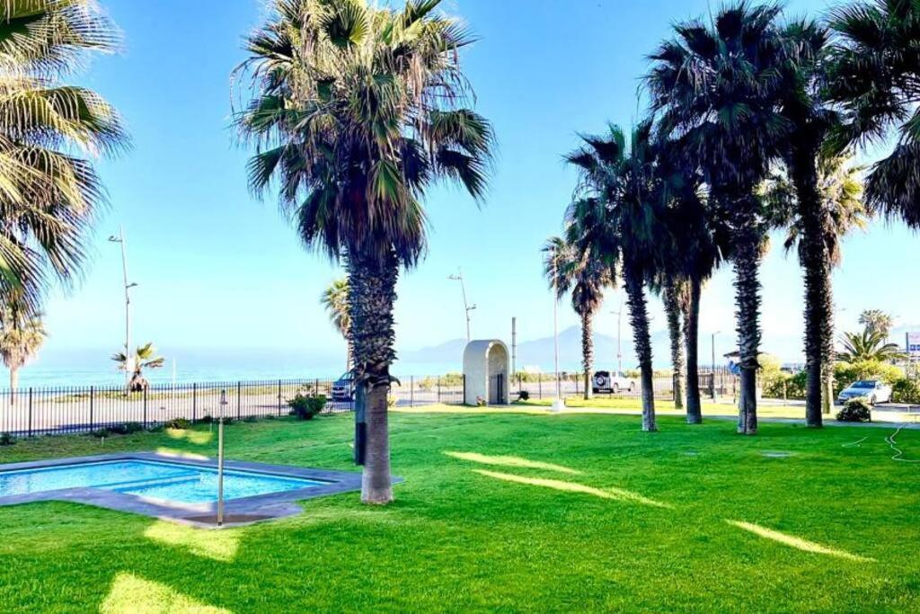Apartamento - Departamento Frente Al Mar La Serena